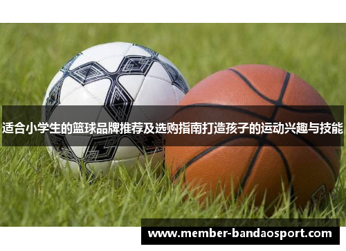 适合小学生的篮球品牌推荐及选购指南打造孩子的运动兴趣与技能